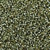 MIYUKI Delica Beads SEED-X0054-DB2163-3