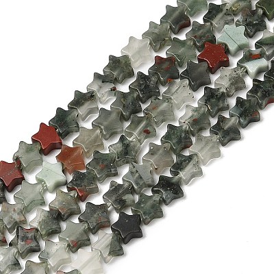 Natural Bloodstone Beads Strands G-H087-C05-01-1
