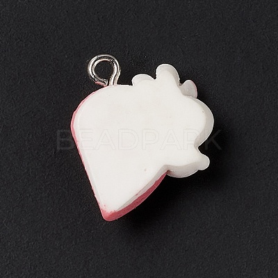 Opaque Resin Pendants RESI-M028-02C-1
