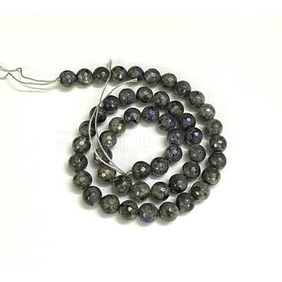 Electroplate Natural Labradorite Beads Strands G-L150-8mm-01-1