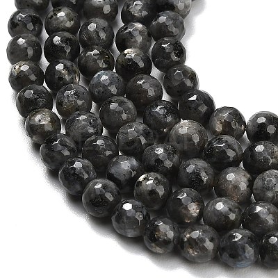 Natural Larvikite Beads Strands G-C280-B06-8mm-1