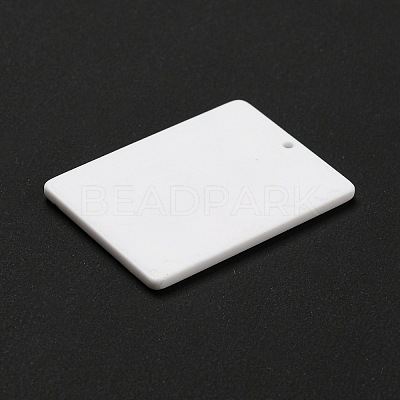 Acrylic Pendants OACR-I009-01-1