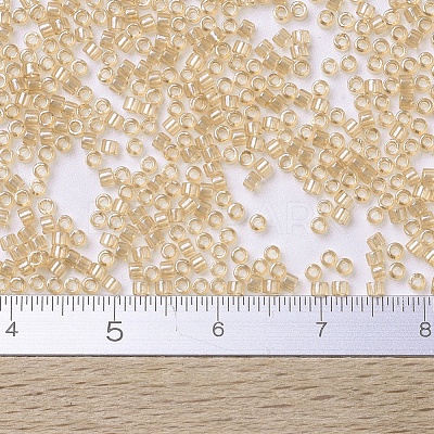 MIYUKI Delica Beads X-SEED-J020-DB0101-1