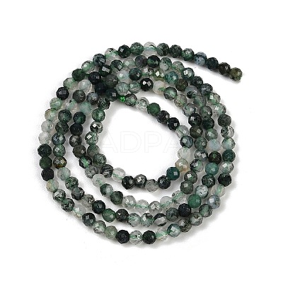 Natural Moss Agate Beads Strands G-A129-3mm-01-1