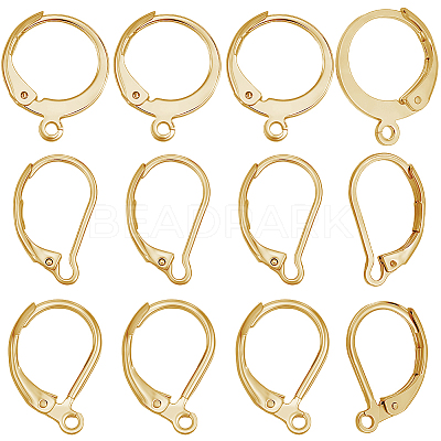 60Pcs 3 Styles 304 Stainless Steel Leverback Earring Findings STAS-BBC0008-30C-1