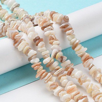 Natural Shell Beads Strands G-F328-45-1