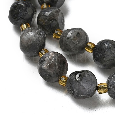 Natural Larvikite Beads Strands G-K387-A02-02-1