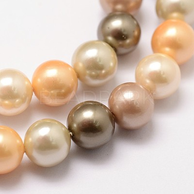 Shell Pearl Bead Strands LS-BSHE-L017-12-1