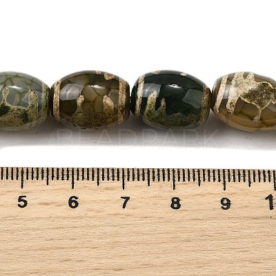 Tibetan Style dZi Beads Strands G-S389-A04-1