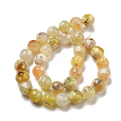 Faceted Natural Fire Crackle Agate Beads Strands G-F447-12mm-H01-1
