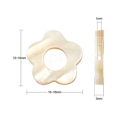 30Pcs Natural Freshwater Shell Beads Frames SHEL-CJ0001-27-1