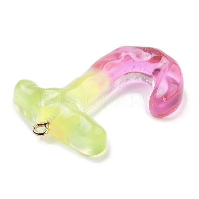 Resin Pendant FIND-Q107-01J-03-1