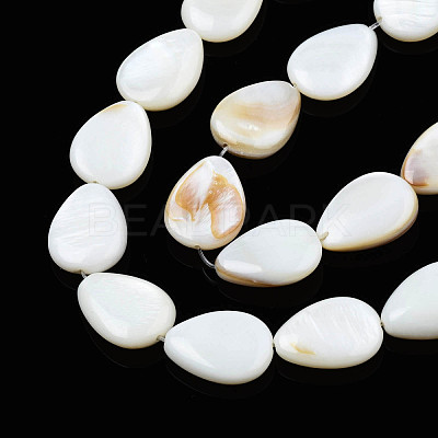 Natural White Shell Beads Strands X-PBB263Y-1-1