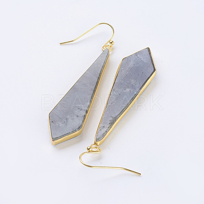 Natural/Synthetic Gemstone Dangle Earrings EJEW-P145-03-1