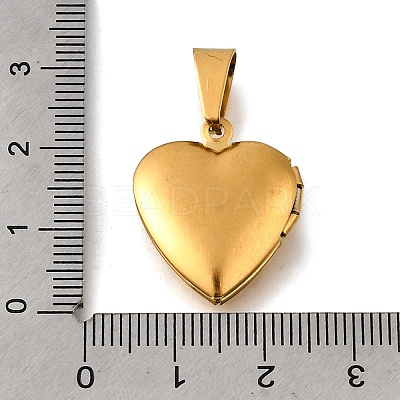 316 Stainless Steel Locket Pendants STAS-C123-02B-G-1