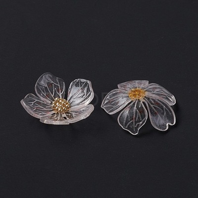 Transparent Resin Cabochons X-RESI-L035-19-1