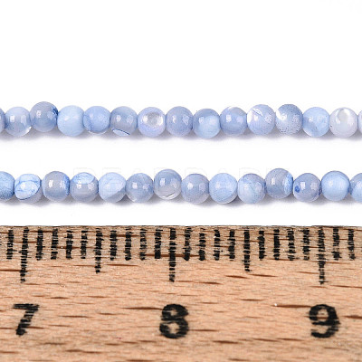 Dyed Natural Trochid Shell/Trochus Shell Beads Strands SSHEL-T017-13M-1