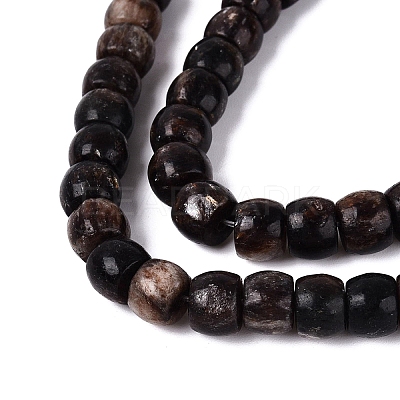 Natural Biotite Beads Strands G-Q616-02A-11-1