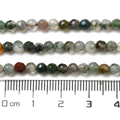 Natural Tree Agate Beads Strands G-H302-A03-02-1