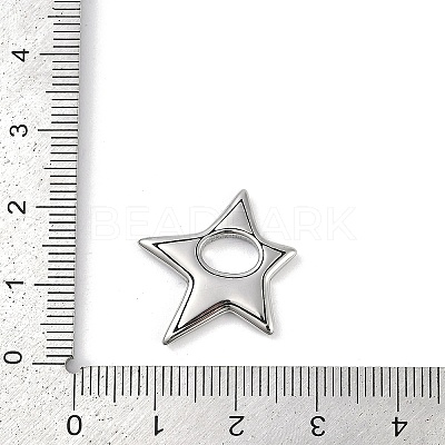 316 Surgical Stainless Steel Pendants X-STAS-G349-17P-1