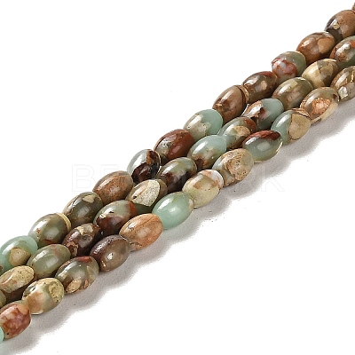 Natural Aqua Terra Jasper Beads Strands G-F765-I01-01-1