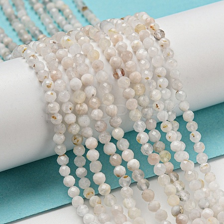 Natural Rainbow Moonstone Beads Strands G-A097-A02-03-1