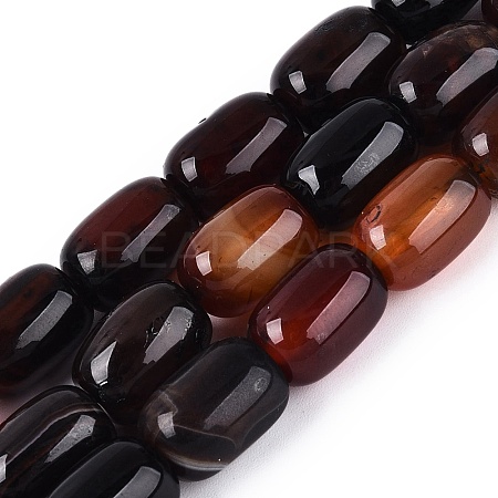 Natural Agate Beads Strands G-N356-02B-02-1