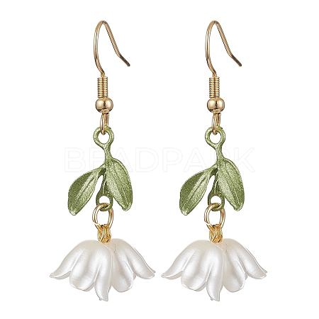 Acrylic Dangle Earrings EJEW-JE06145-1