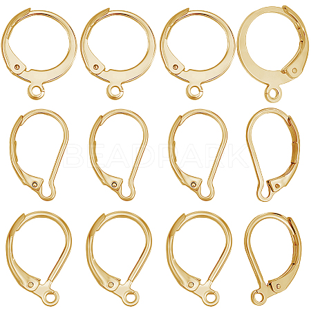 60Pcs 3 Styles 304 Stainless Steel Leverback Earring Findings STAS-BBC0008-30C-1