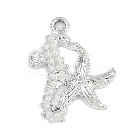 Alloy Pendants FIND-F013-07P-1