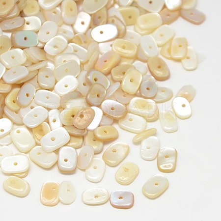 Dyed Natural Freshwater Shell Chips Beads SHEL-A003-D02-1