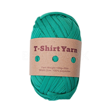 Polyester Cloth Yarn PW-WG25726-06-1
