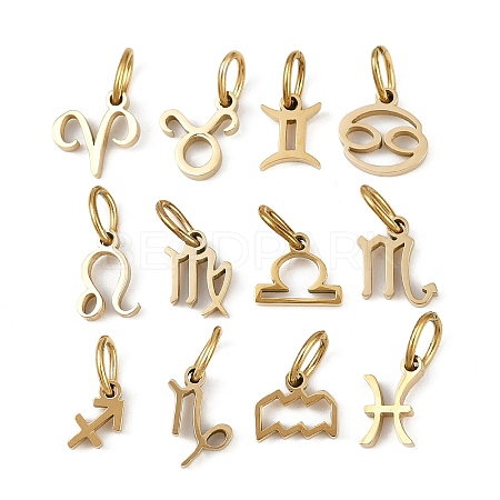 304 Stainless Steel Charms STAS-Z143-06G-1
