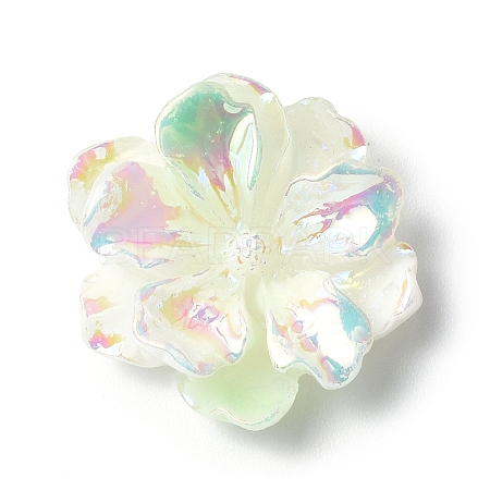 Luminous Resin Cabochons LS-RESI-E033-02D-1