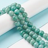 Natural Amazonite Beads Strands G-F461-12-10mm-01-5