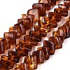 Natural Amber Beads Strands G-N371-12A-02-2