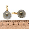Natural Labradorite Pendants G-P628-03G-04-3
