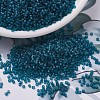 MIYUKI Delica Beads SEED-MY11-DB0788-1