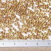 MIYUKI Round Rocailles Beads X-SEED-G007-RR0345-2
