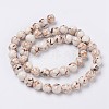 Sea Shell and Synthetic Turquoise Assembled Beads Strands X-G-G758-08-8mm-2