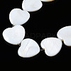 Natural Freshwater Shell Beads Strands SHEL-Q024-009-3