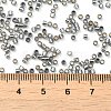 Glass Seed Beads X-SEED-S042-04B-31-4