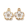 Alloy Enamel Pendants ENAM-D063-01G-03-1