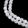 Natural Selenite Beads Strands G-F805-01-4
