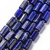 Natural Lapis Lazuli Beads Strands G-S345-8x11-002-1