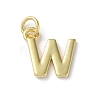 Rack Plating Brass Charms KK-P245-06G-W-1