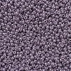 MIYUKI Round Rocailles Beads X-SEED-G007-RR0437-3