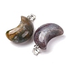 Natural Indian Agate Pendants G-F820-02L-13-3