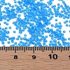 15/0 Transparent Czech Glass Seed Beads SEED-N004-004-02-6