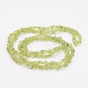 Peridot Gemstone Beads F045-2